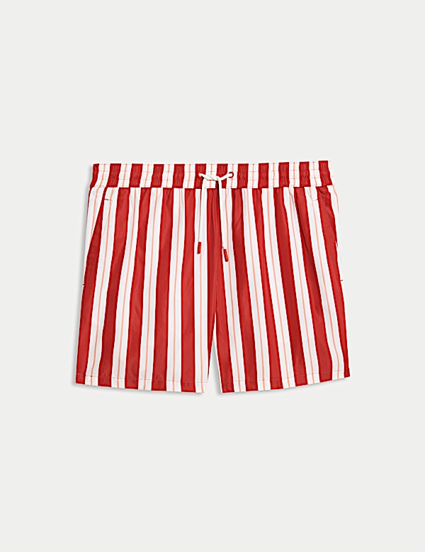 Quick Dry Deckchair Striped Swim Shorts - LV