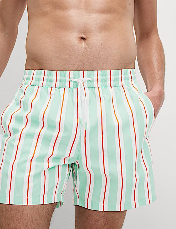 Quick Dry Deckchair Striped Swim Shorts - FI