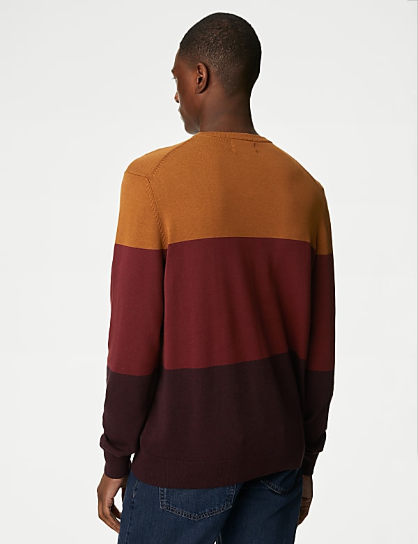 Pure Cotton Colorblocked Round Neck Jumper