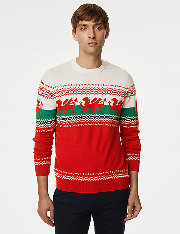 Buy Wales Christmas Jumper at Marks Spencer