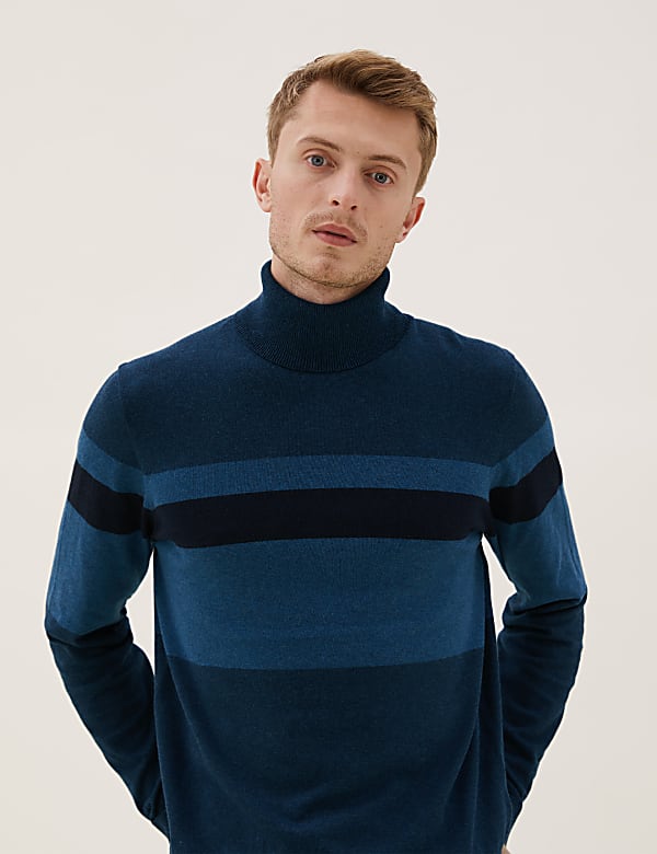 Cotton Rich Chest Stripe Roll Neck Jumper