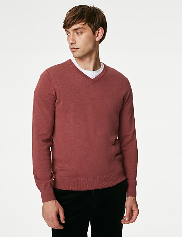 Pure Cotton V-Neck Jumper