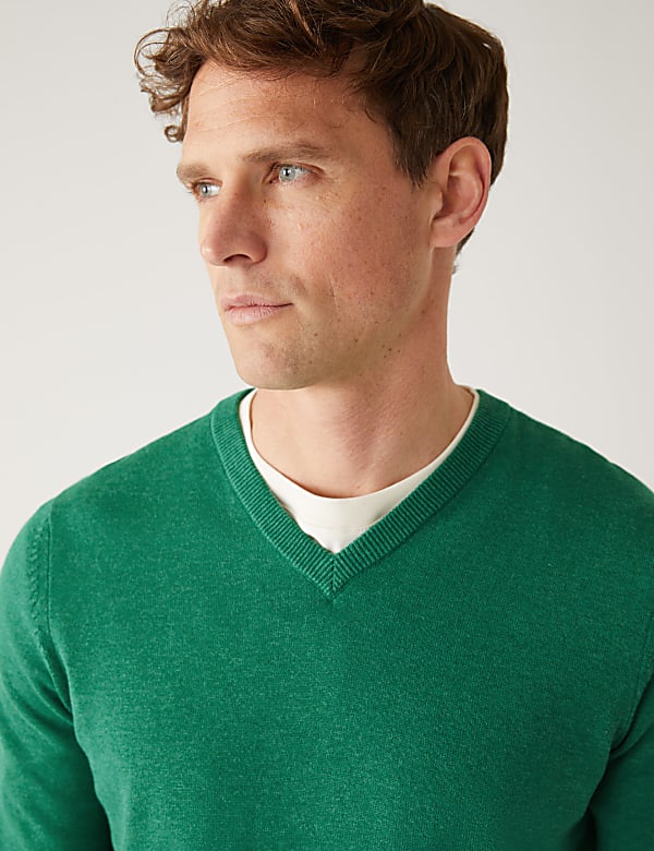 Pure Cotton V-Neck Jumper
