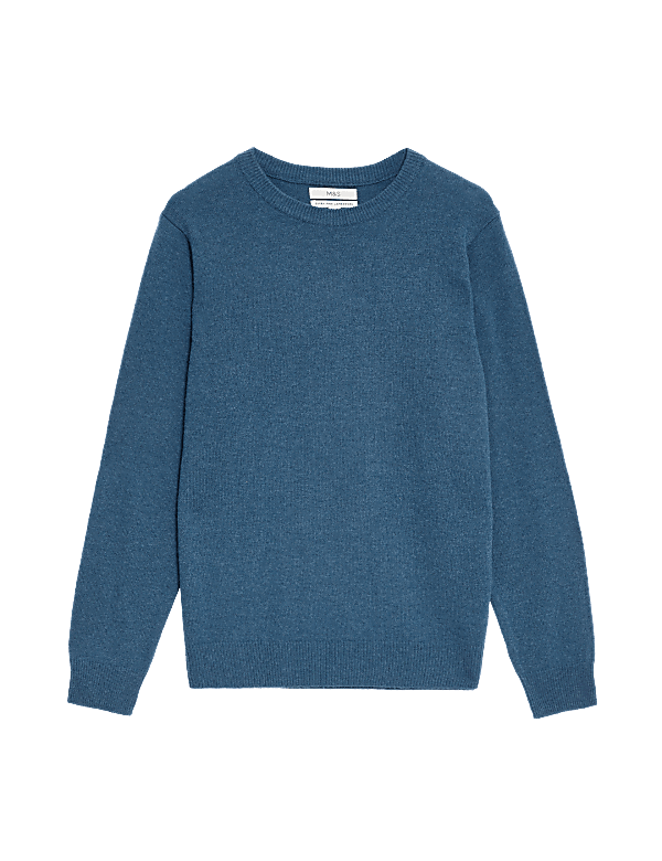 Pure Extra Fine Lambswool Crew Neck Jumper
