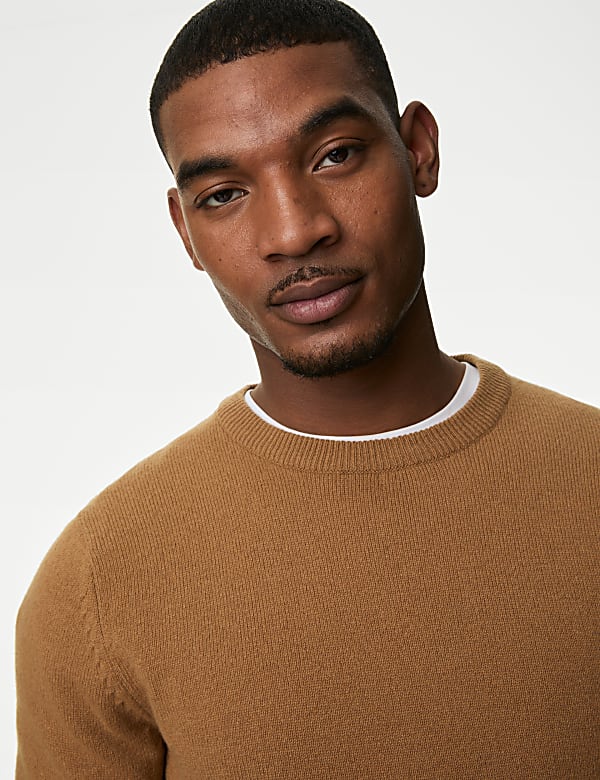Pure Extra Fine Lambswool Crew Neck Jumper