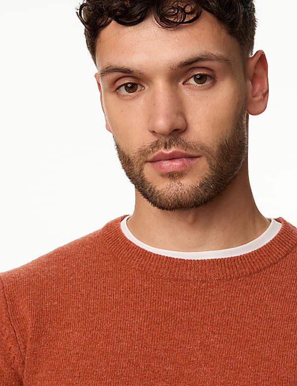 Pure Extra Fine Lambswool Crew Neck Jumper