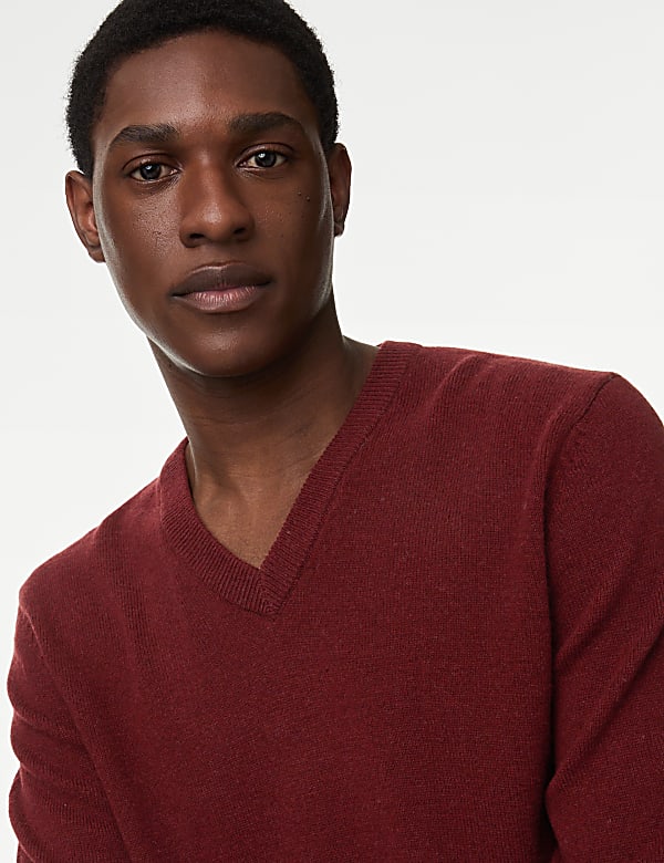 Pure Extra Fine Lamsbwool V-Neck Jumper