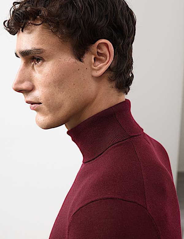 Pure Extra Fine Merino Wool Roll Neck Jumper