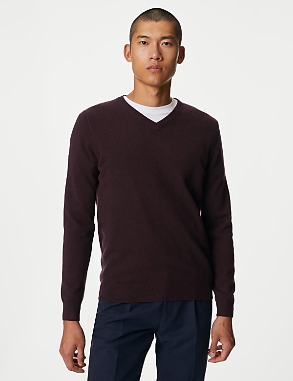 Pure Extra Fine Merino Wool V-Neck Jumper