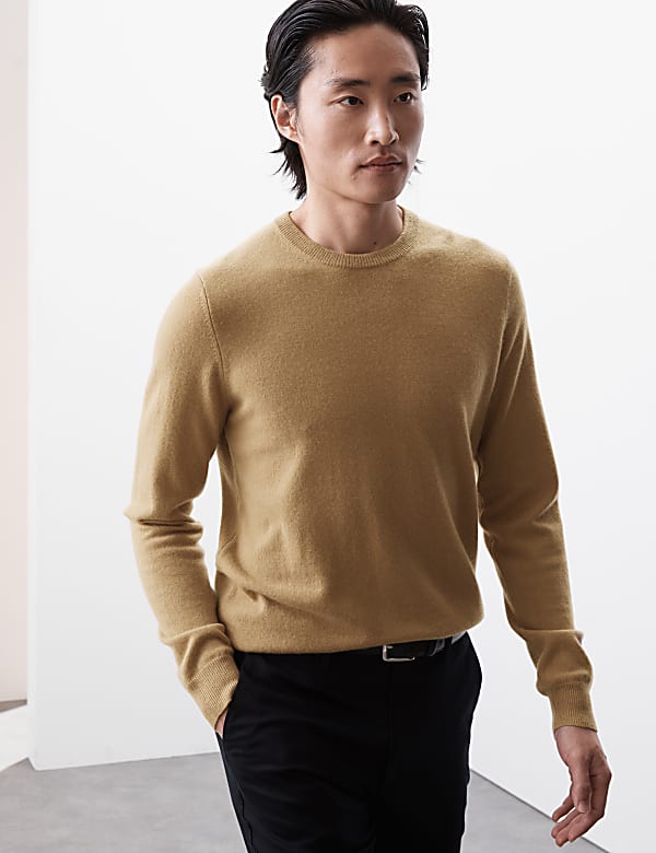 Pullover aus reinem Kaschmir mit Rundhalsausschnitt - DE