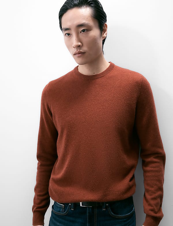 Pure Cashmere Crew Neck Jumper - CH