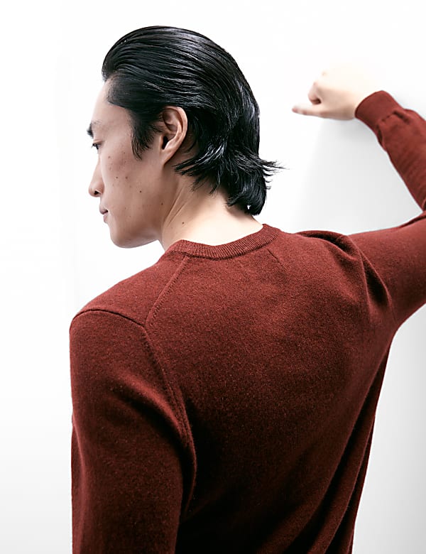 Pure Cashmere Crew Neck Jumper