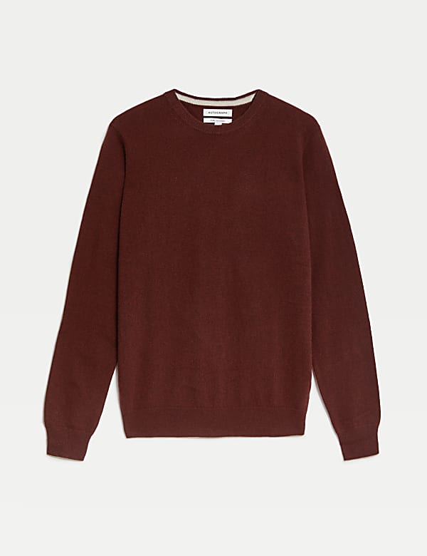 Pure Cashmere Crew Neck Jumper - US