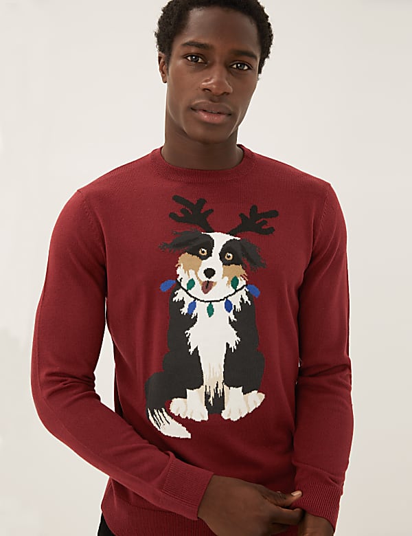 Buy Novelty Christmas Jumper at Marks Spencer