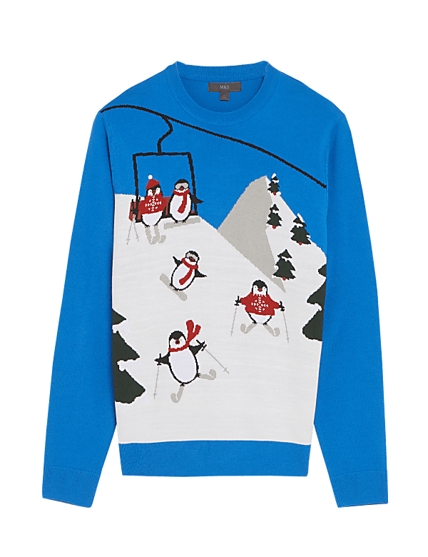 Novelty Christmas Jumper
