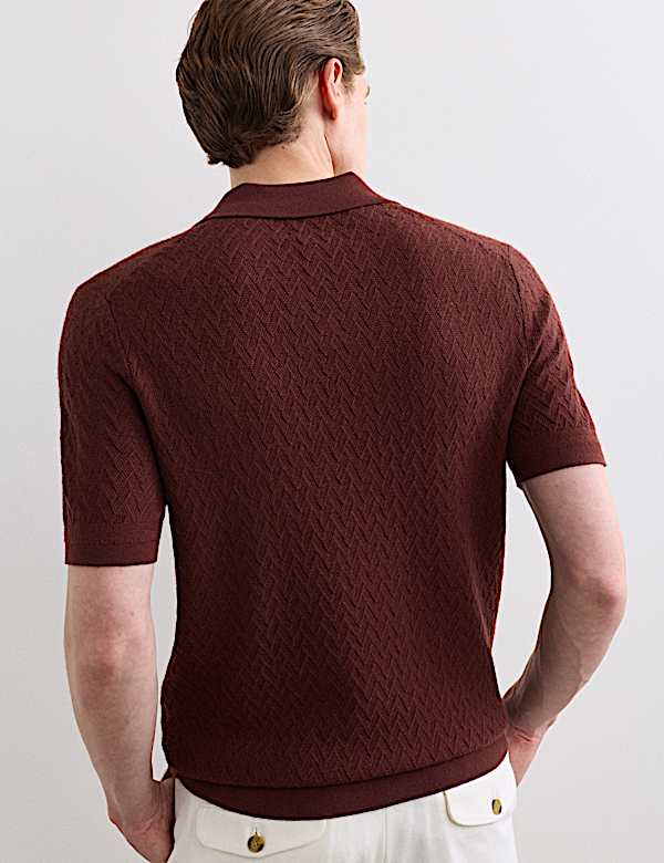 Merino Wool with Silk Knitted Polo Shirt - CZ