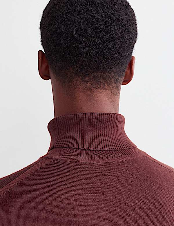 Merino Wool Rich Roll Neck Jumper with Silk - CA
