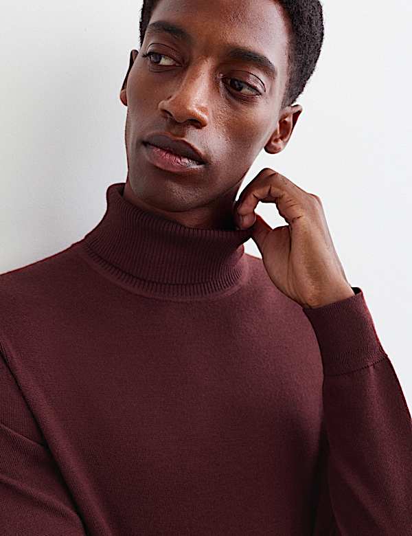 Merino Wool Rich Roll Neck Jumper with Silk - CA