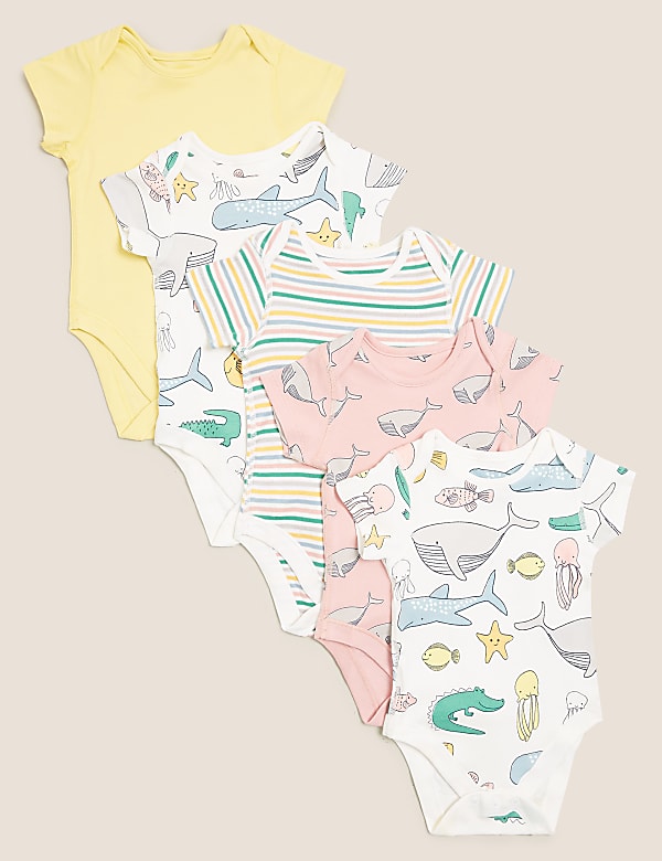 5pk Pure Cotton Sea Creatures Bodysuits