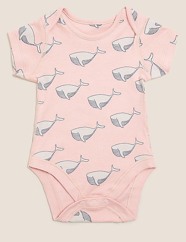 5pk Pure Cotton Sea Creatures Bodysuits