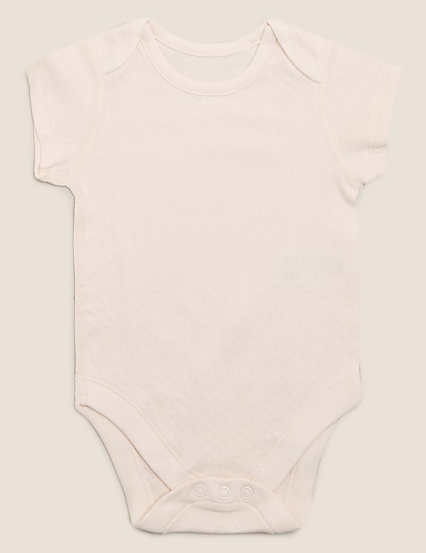 5pk Organic Cotton Plain Bodysuits (0-3 Yrs)