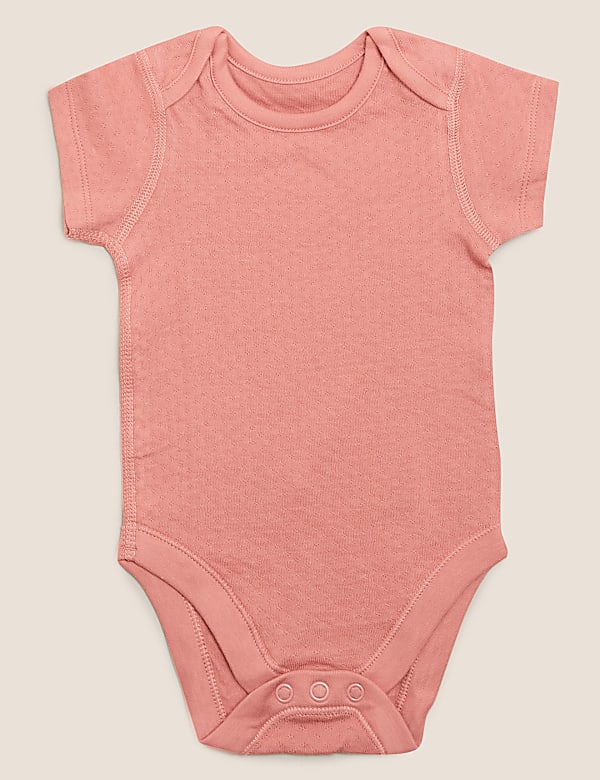 5pk Organic Cotton Plain Bodysuits (0-3 Yrs)
