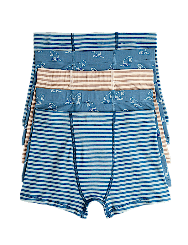 5 Pack Cotton Rich Dino Print Trunks (3-10 Yrs)