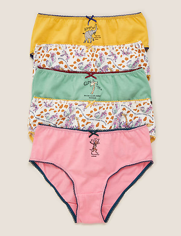 5pk Pure Cotton Roald Dahl™ & NHM™ Knickers