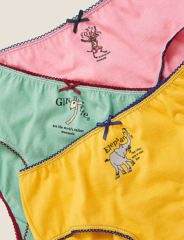 5pk Pure Cotton Roald Dahl™ & NHM™ Knickers