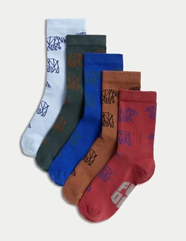 Lot de 5&nbsp;paires de chaussettes en coton à motif ours - BE