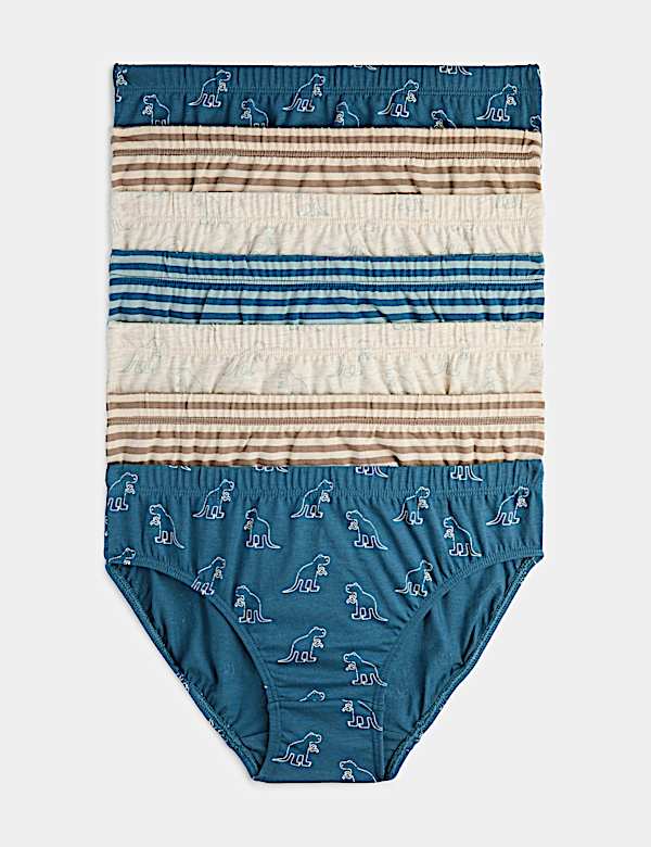 7 Pack Pure Cotton Dinosaur Stripe Briefs (18 Mths - 10 Yrs)
