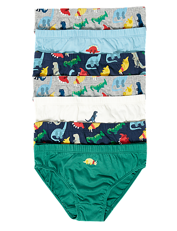 7pk Pure Cotton Dinosaur Briefs (2-7 Yrs)