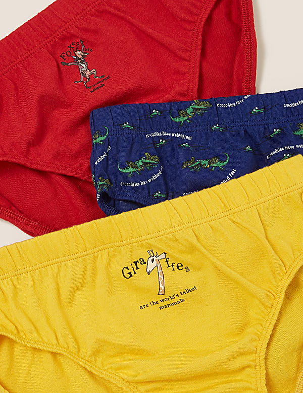 5pk Pure Cotton Roald Dahl™ & NHM™ Briefs