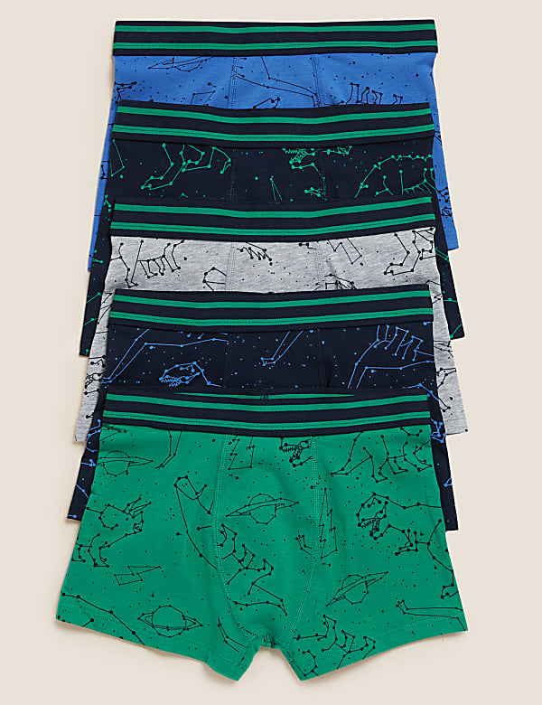 Cotton Rich Dinosaur Trunks