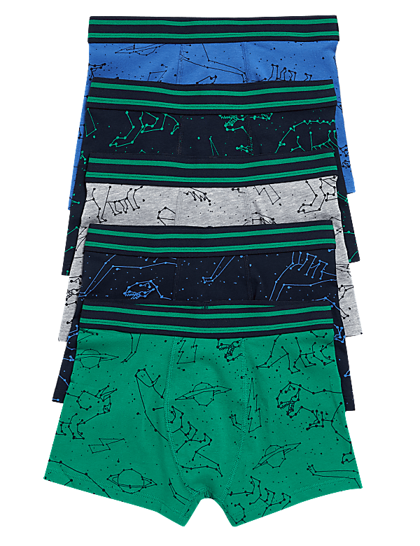 Cotton Rich Dinosaur Trunks