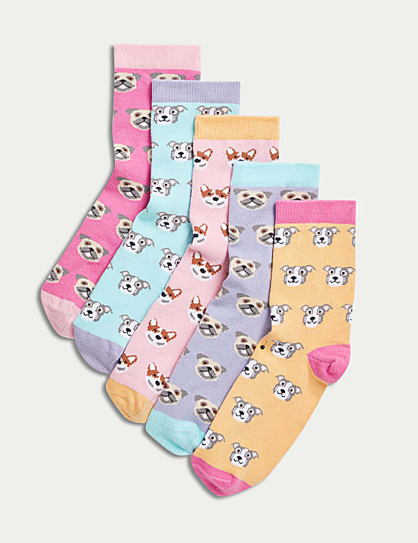 5pk Cotton Rich Dog Socks - GR
