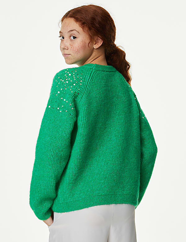 Sequin Knitted Jumper (6-16 Yrs)