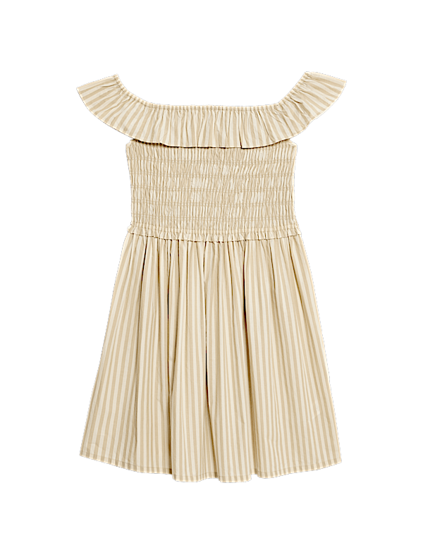 Poplin Stripe Shirred Dress