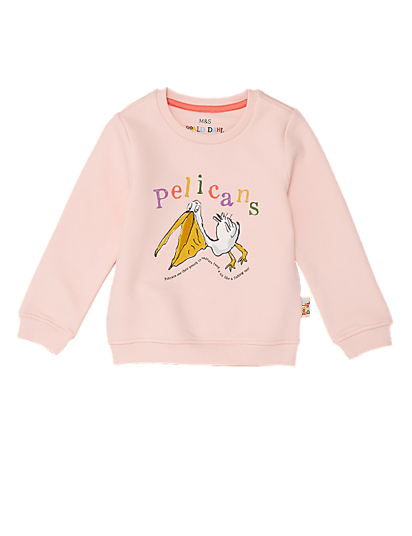 Roald Dahl™ & NHM™ Pelican Sweatshirt