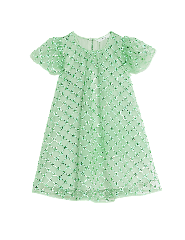 Mesh Sequin Dress (2-7 Yrs)