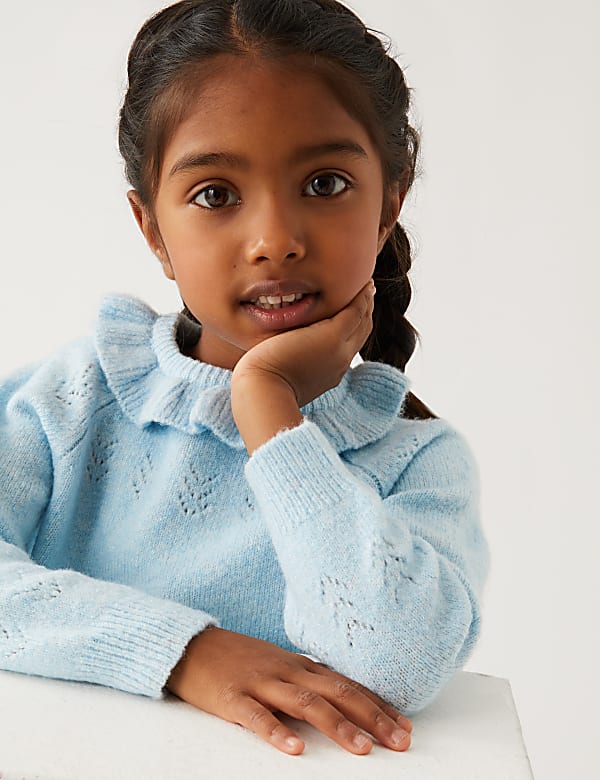 Pointelle Jumper