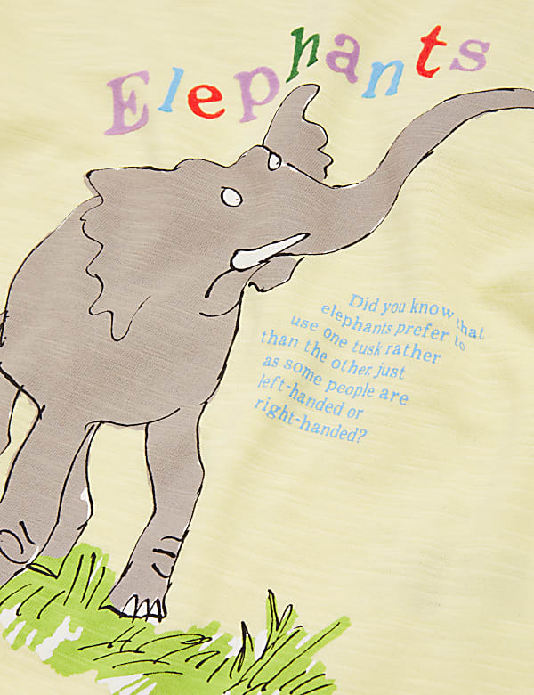 Pure Cotton Roald Dahl™ & NHM™ Elephant Top (2-7 Yrs)