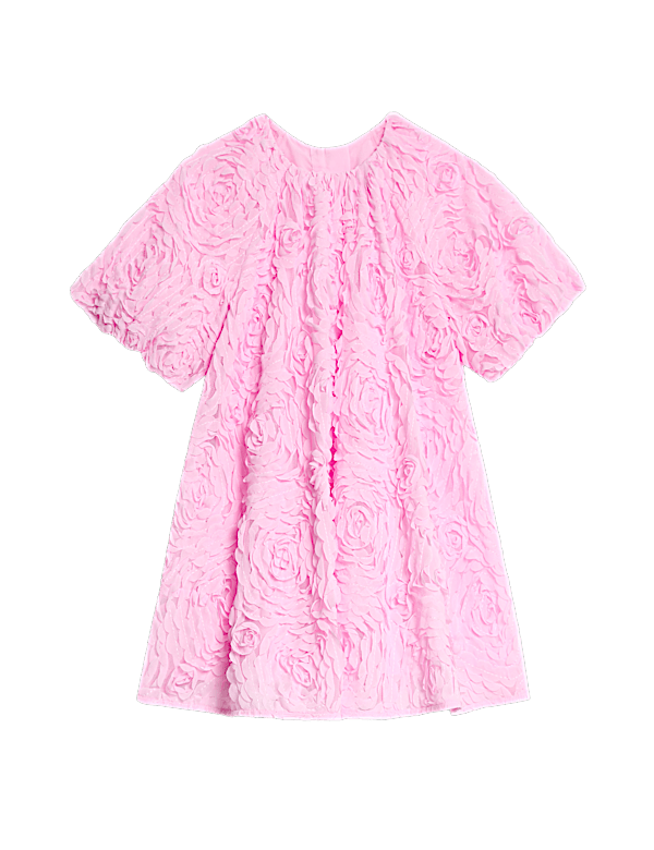 Mesh Floral Dress (2-8 Yrs)