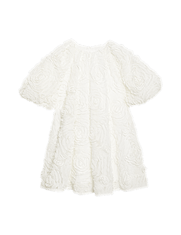 Mesh Floral Dress (2-8 Yrs)