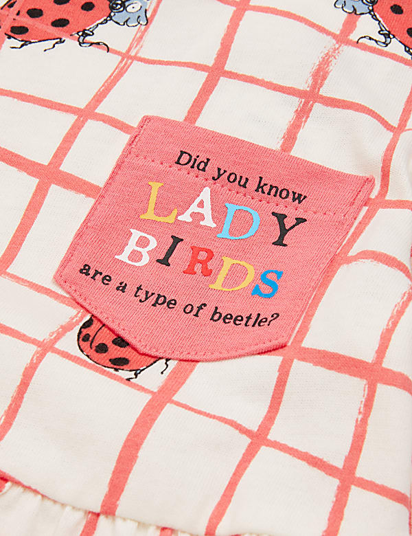Pure Cotton Roald Dahl™ & NHM™ Ladybird Dress (2-7 Yrs)
