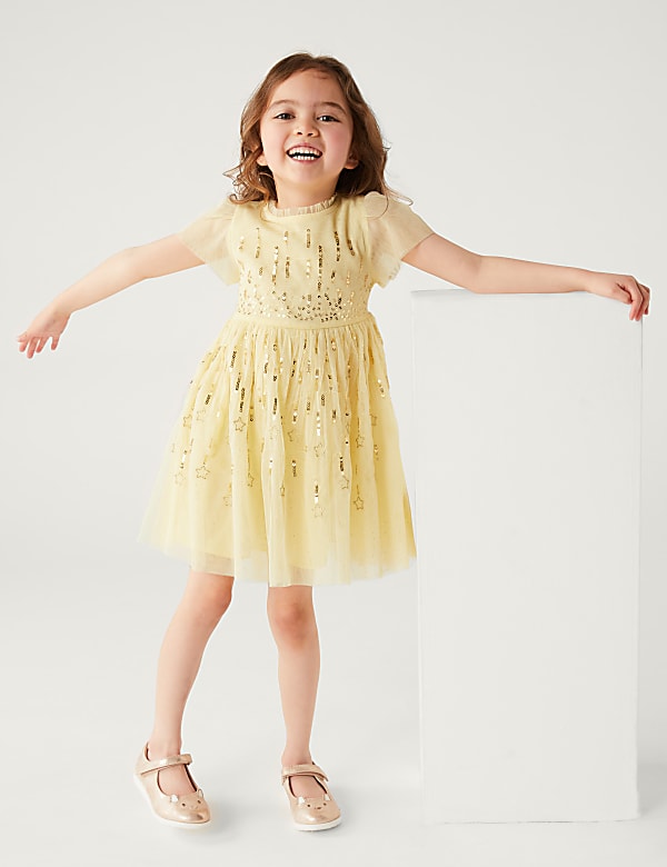 Sequin Star Embroidered Dress