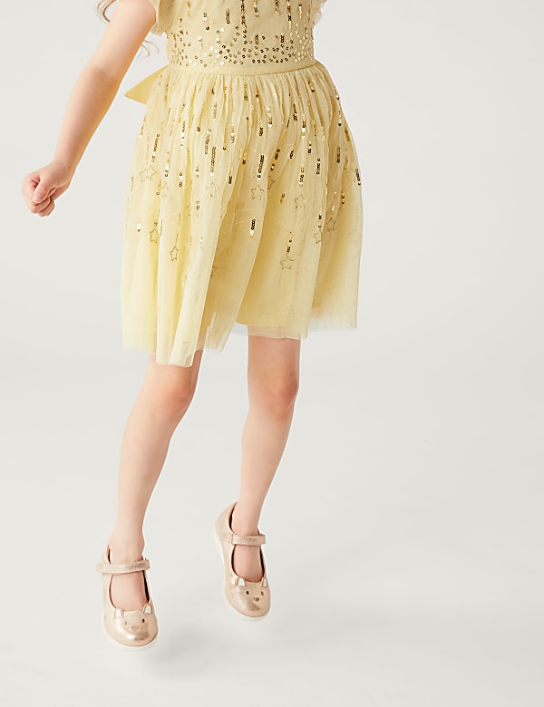 Sequin Star Embroidered Dress