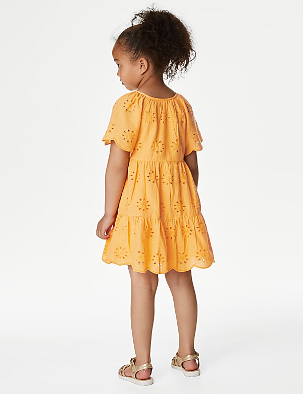 Pure Cotton Broderie Dress (2-8 Yrs)
