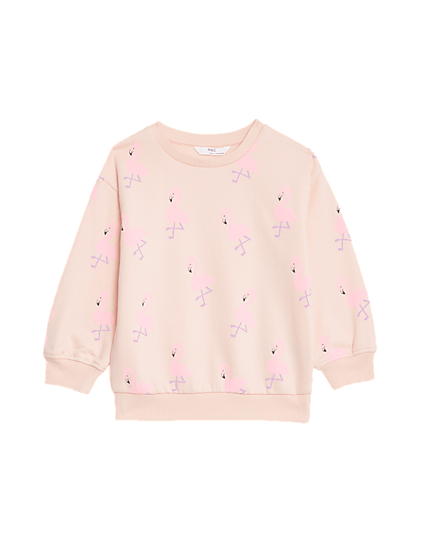 Cotton Rich Printed Sweatshirt (2-8 Yrs)