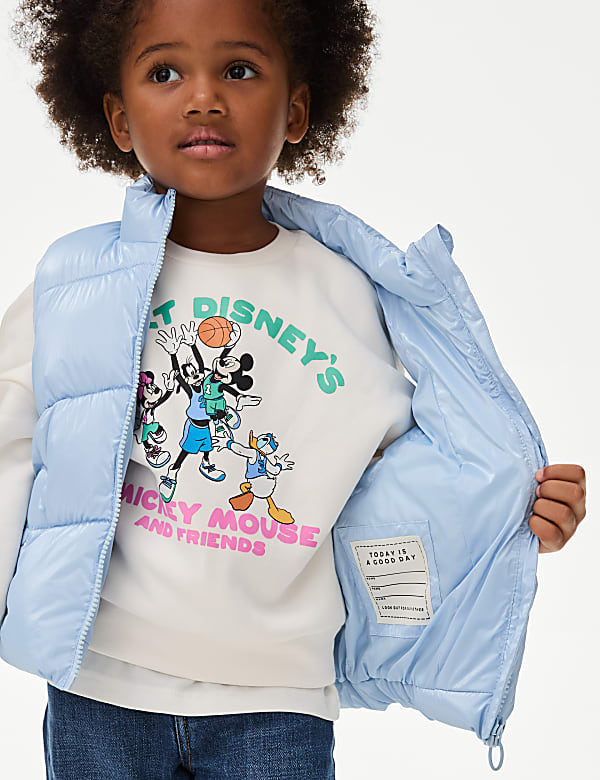 Metallic Padded Gilet (2-8 Yrs)